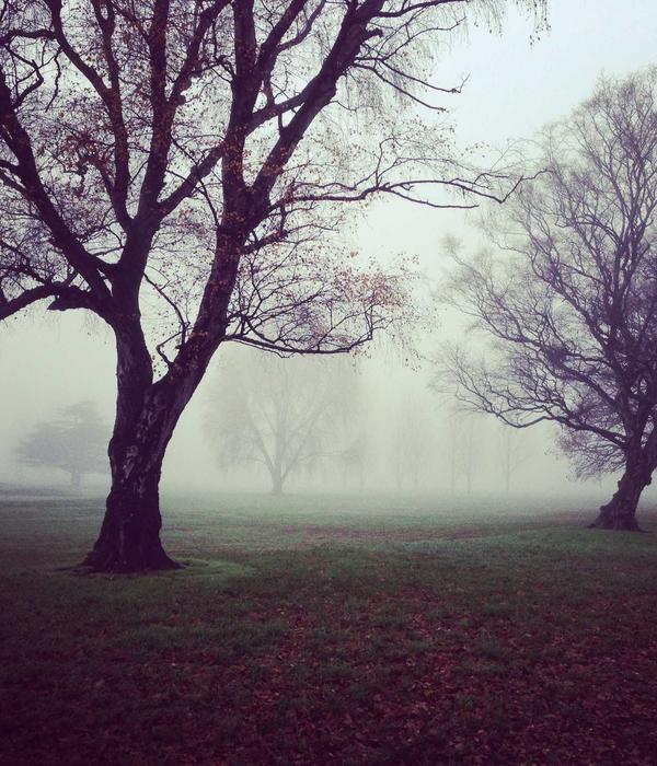 CyberPalm Kinetic Tech