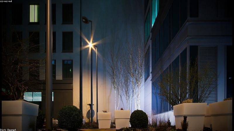 Cây cảnh giúp cải thiện chất lượng không khí văn phòng