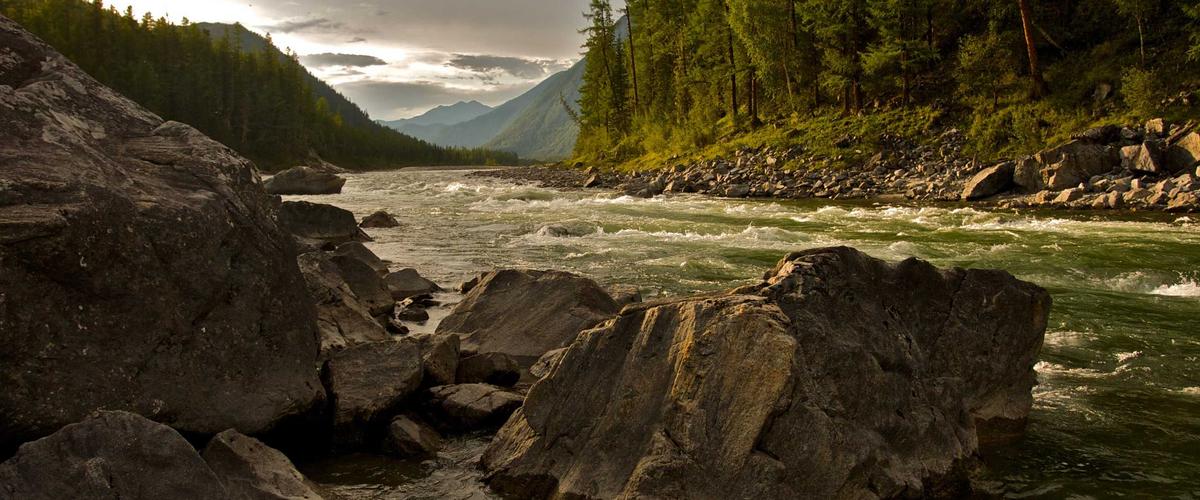 Ẩm thực thực tế ảo