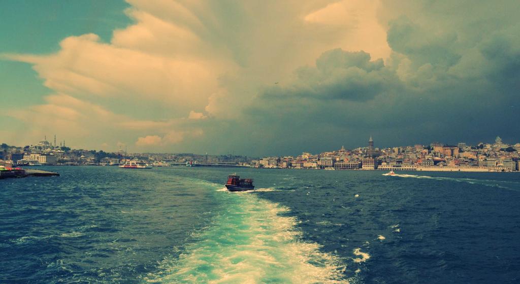 Bảo tồn san hô và nhà hàng ven biển 2026