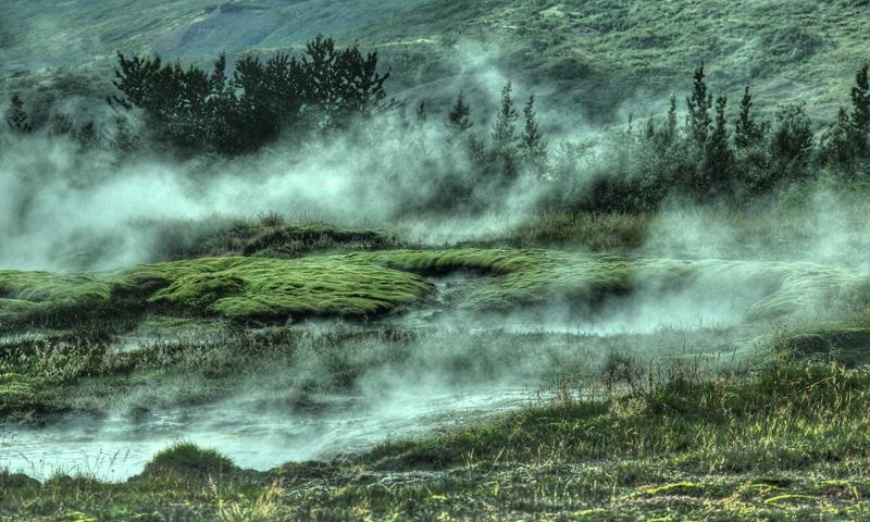 Mixologist trà sữa chuyên nghiệp 2026