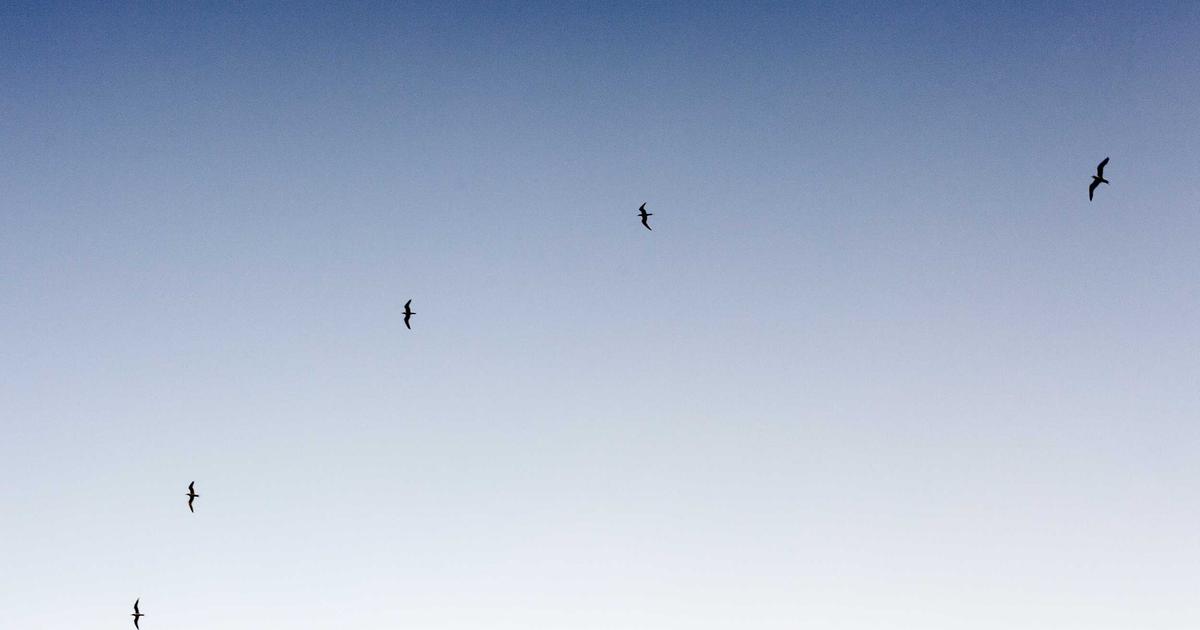 Phạm Anh Thư Chia Sẻ Insight: 5 Sai Lầm Phổ Biến Khiến Skincare Routine Phản Tác Dụng