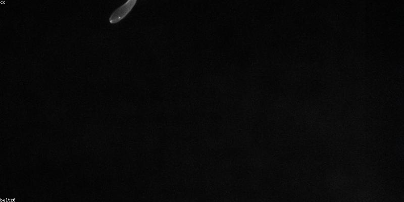 Website Launching Visualization