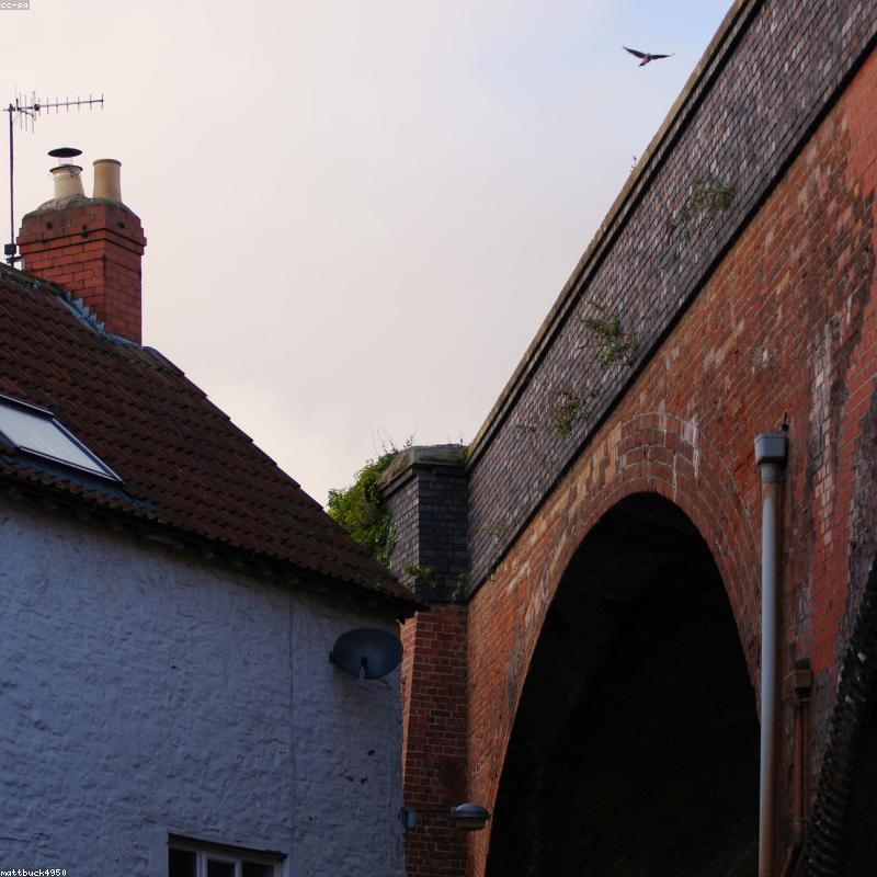 An Cung Ngưu Hoàng Hoàn Đồng Nhân Đường