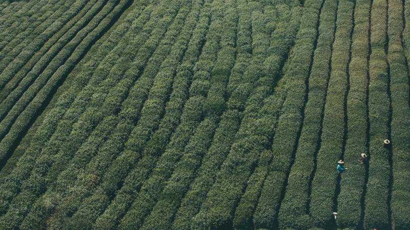 Cửa hàng Retro Thread