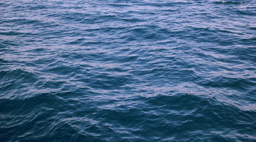 Rượu vang cao cấp