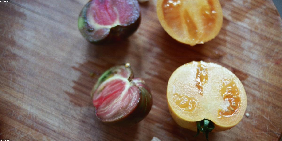 Mật ong hoa rừng nguyên bản