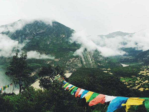 Terrarium 2026 Detail