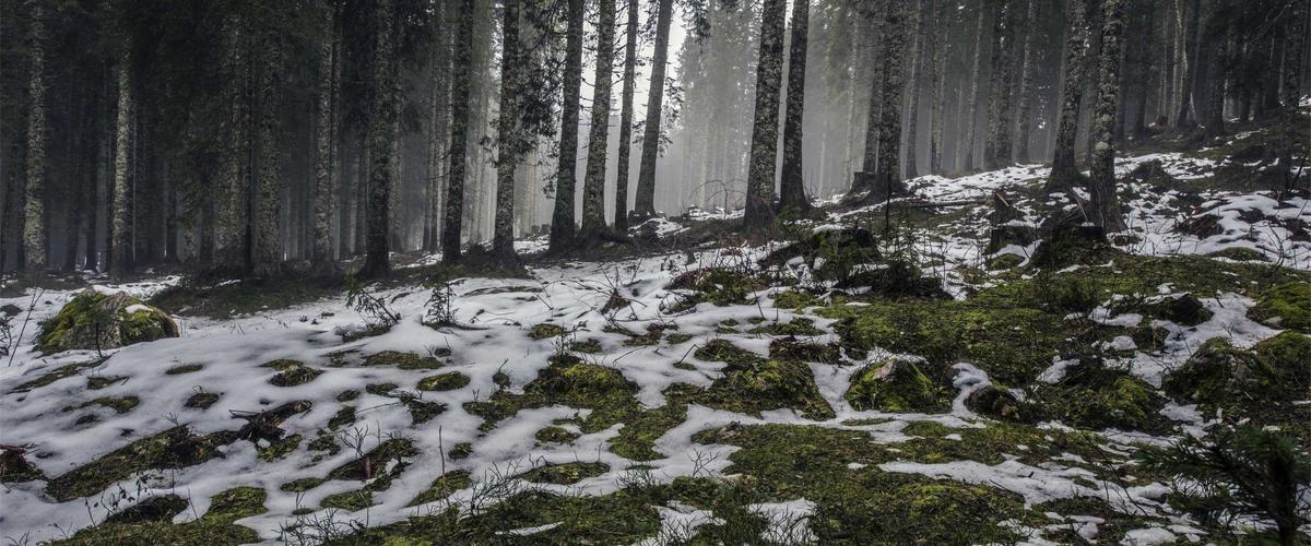 Blockchain Migration 2026