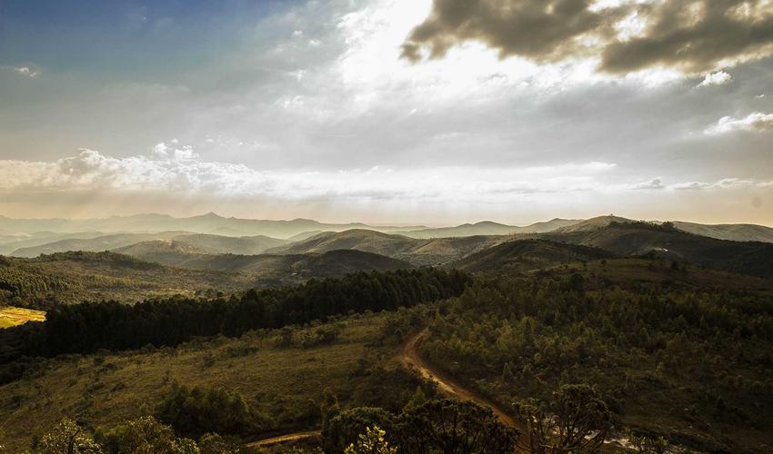 Indie Lifestyle 2026 Music