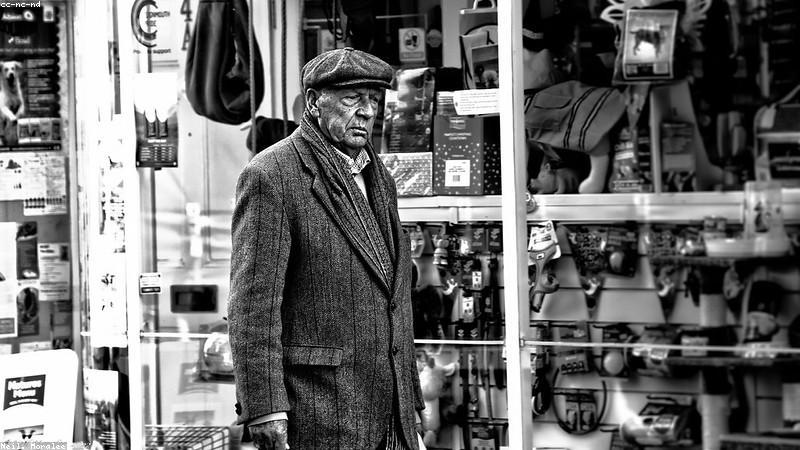 Chăm sóc mèo già