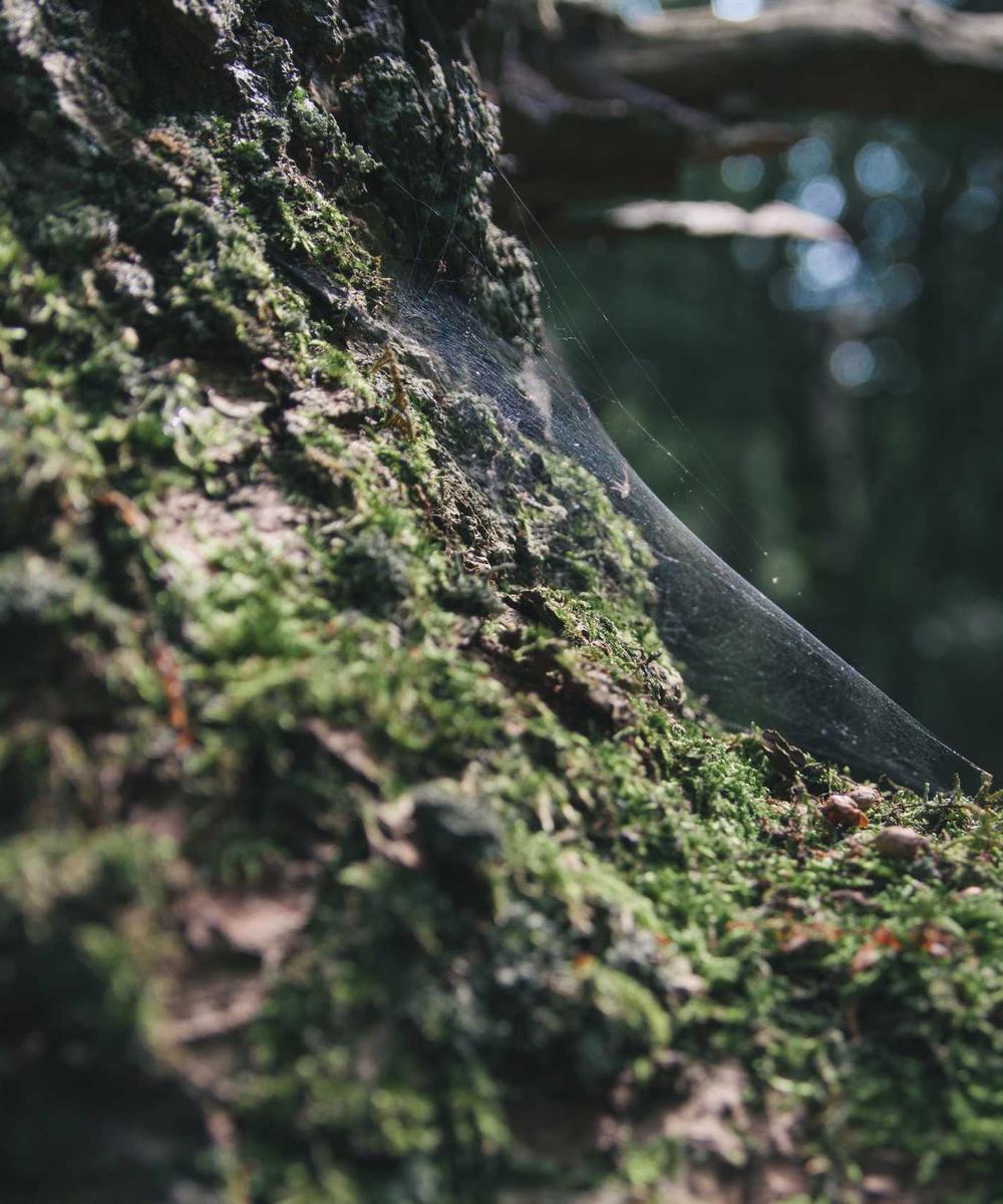 Plus Size Professional Portfolio 2026