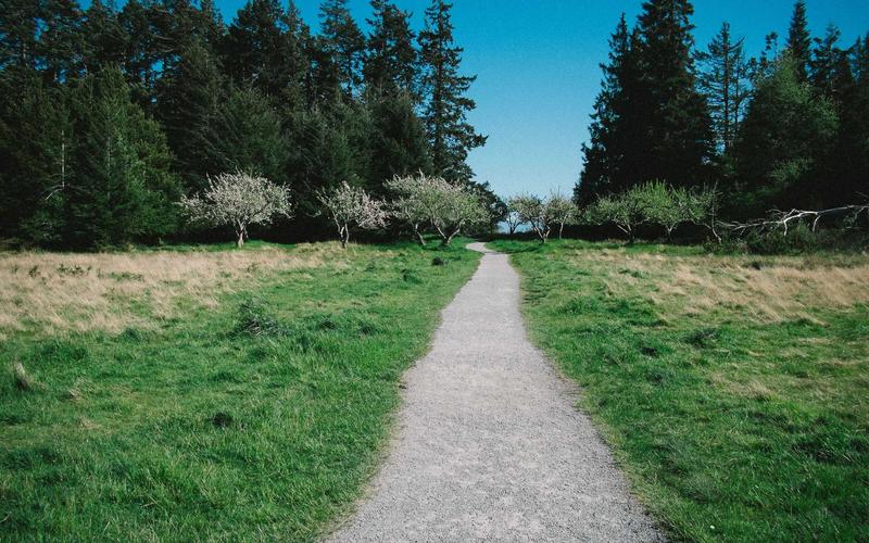 Passport không gian