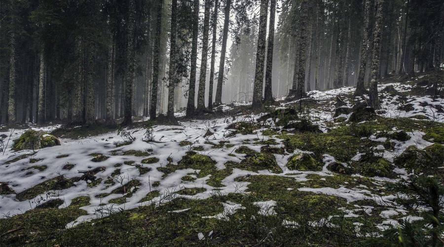 Demo giao diện lập trình