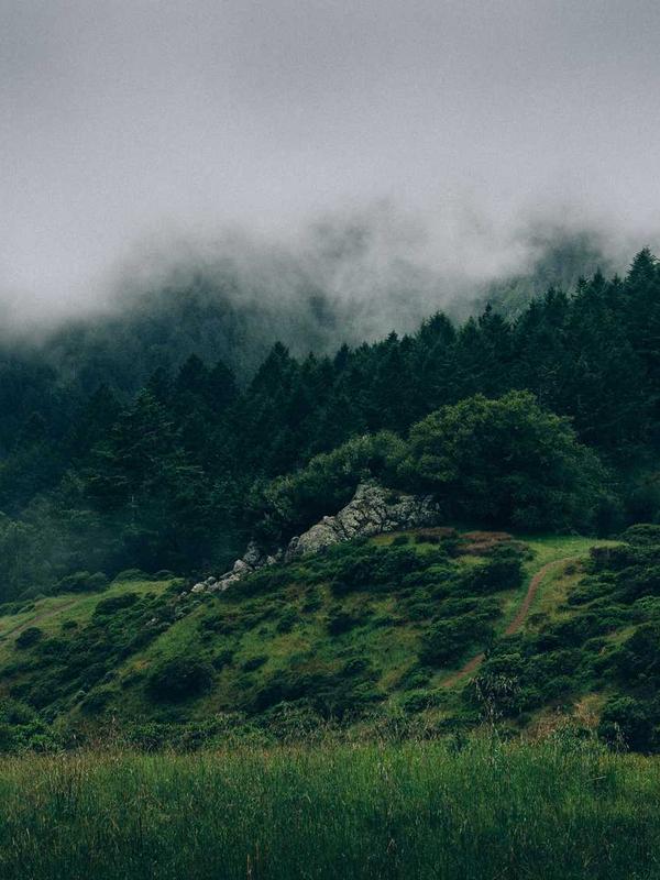 Model wear minimal gown 2