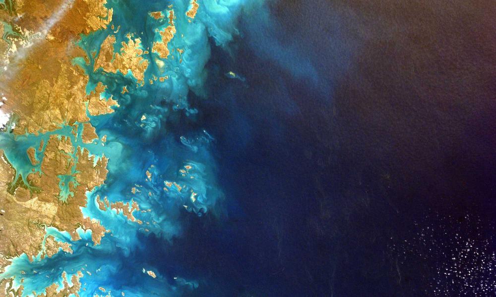 Thành phần Macro thực vật 2026