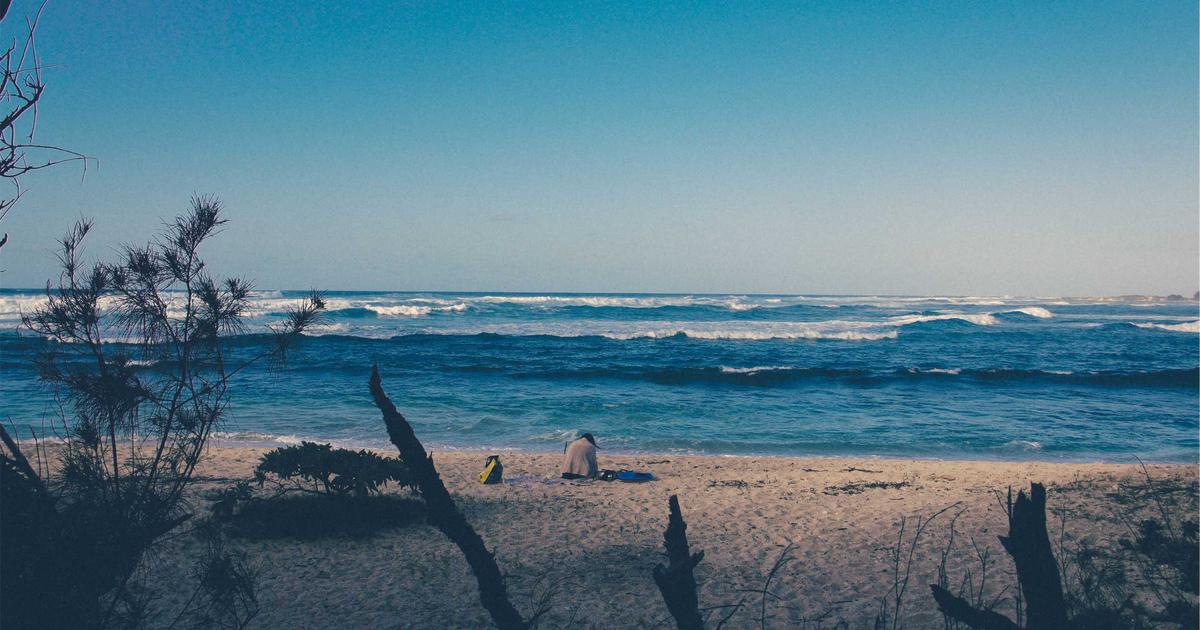 Cú hích 500 triệu USD: CEO VinFast và chiến lược 'go global' thần tốc tại thị trường Đông Nam Á