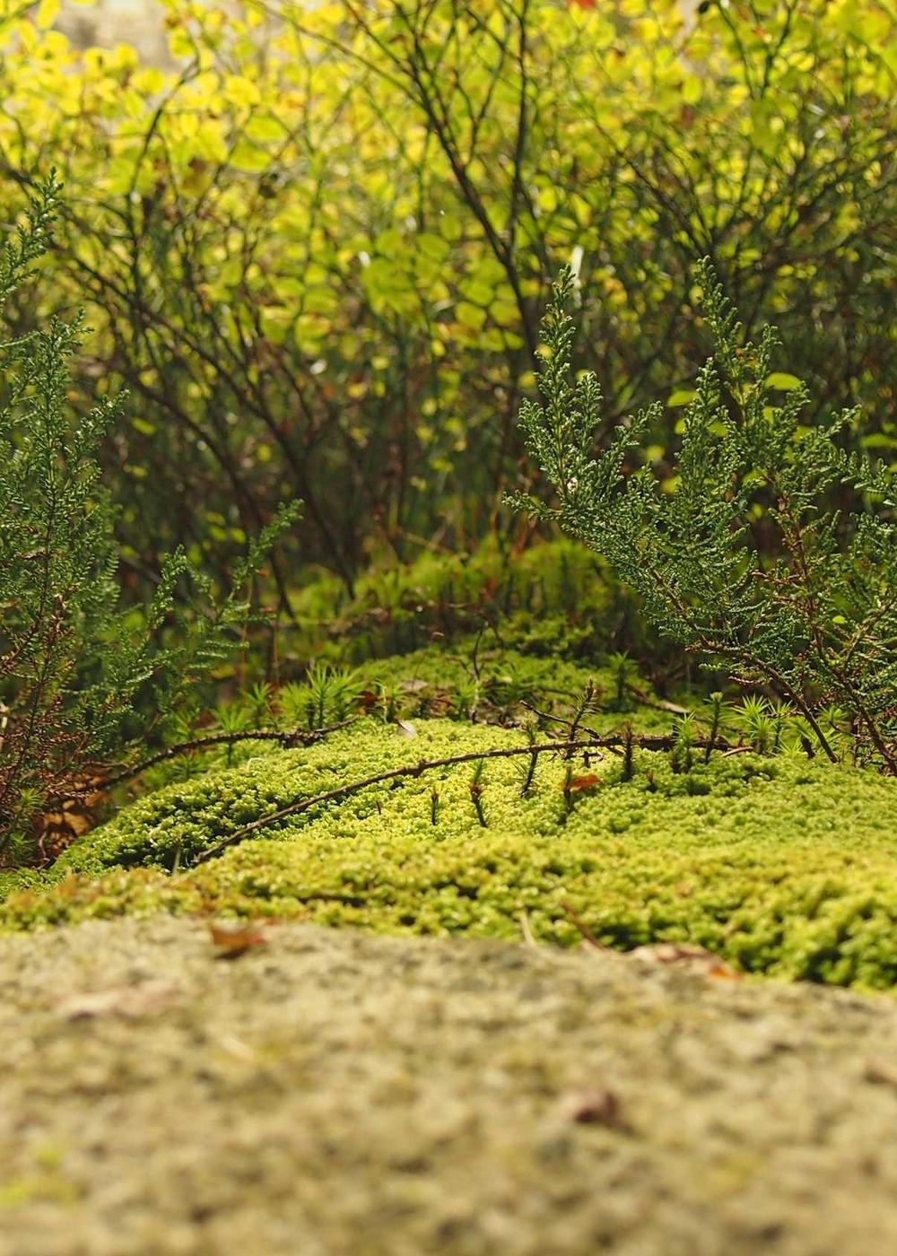 Gợi ý phối đồ trọn bộ