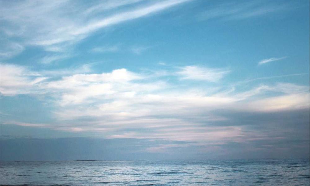 Smart Fabric Bio-Material