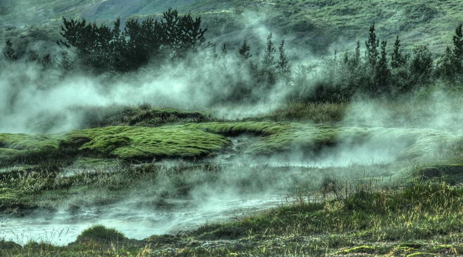 Thức ăn thú cưng 2026 tươi ngon