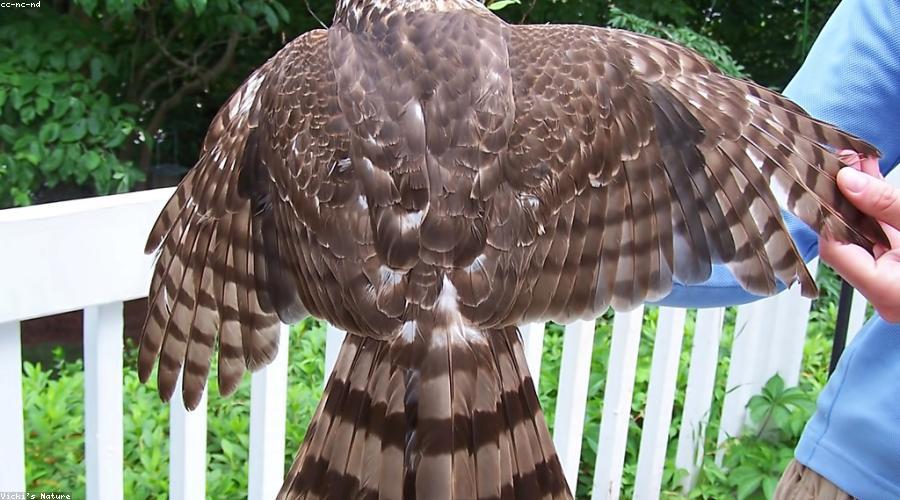 Lật giở cuốn photobook bên khung cửa sổ