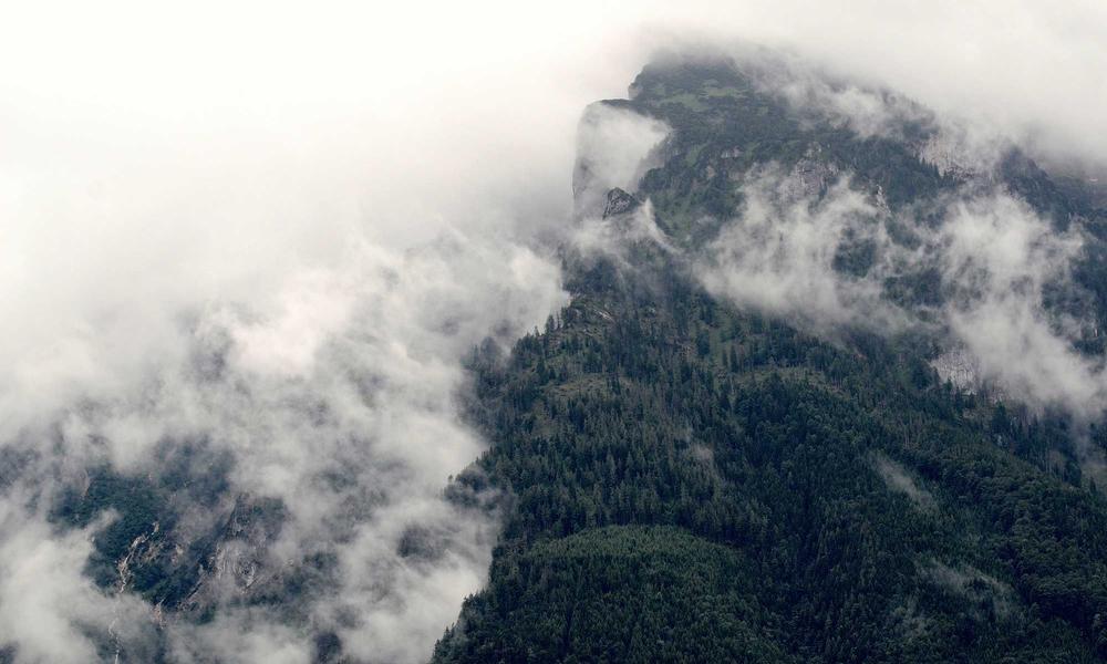 Thiết kế nội thất tối giản 2026