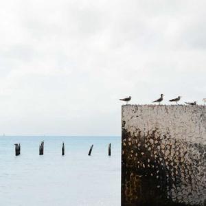 Thảm bàn làm việc