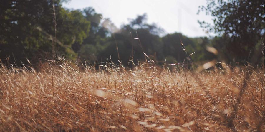 Blockchain Architecture