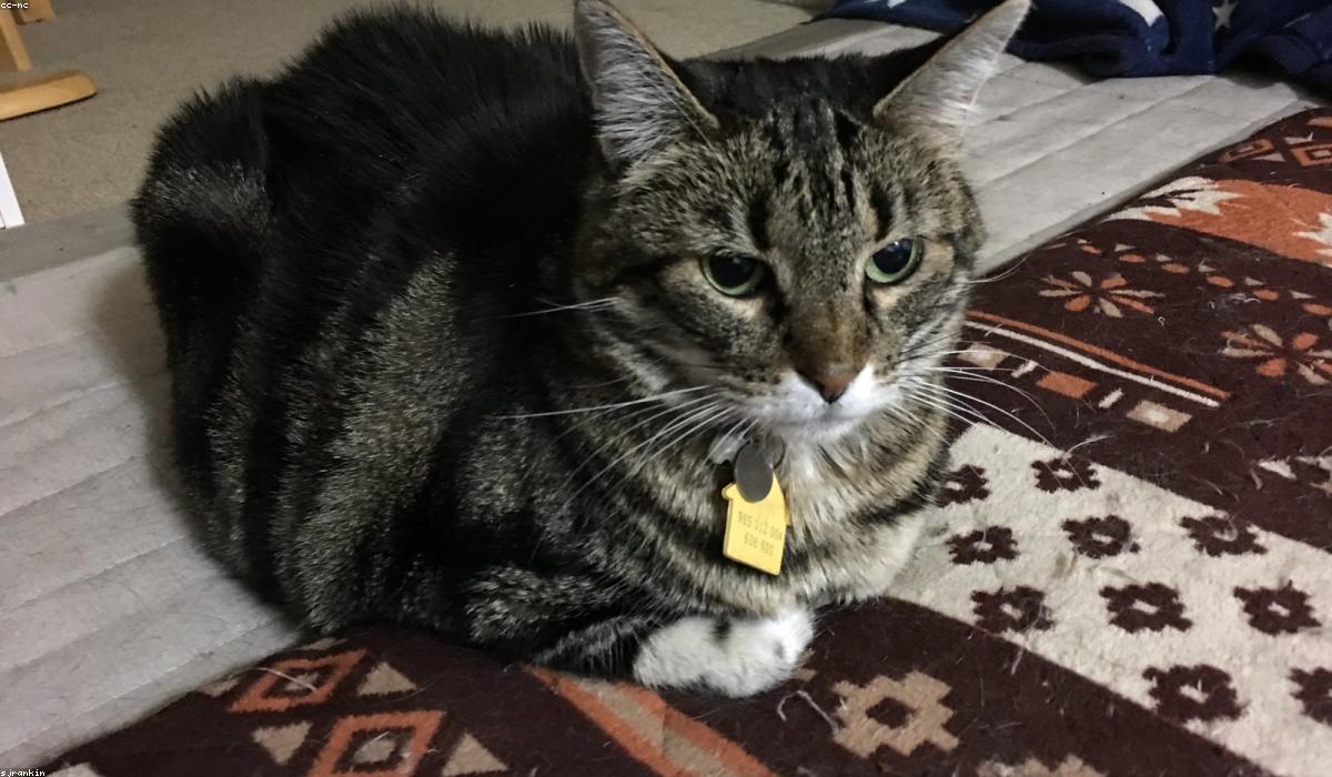 Biến động thị trường tài chính toàn cầu