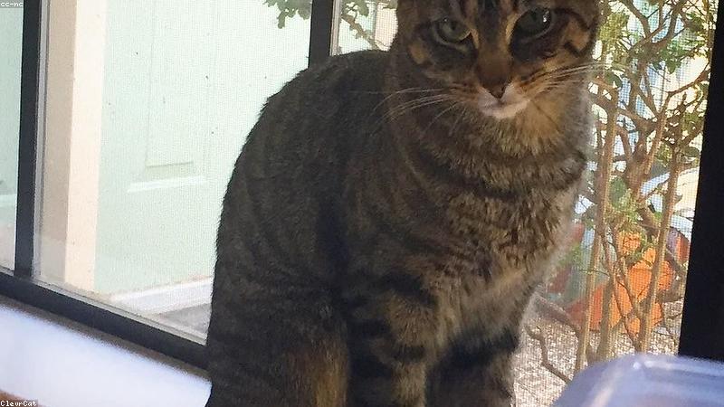 Bộ phụ kiện trang trí tiệc trọn gói đầy đủ