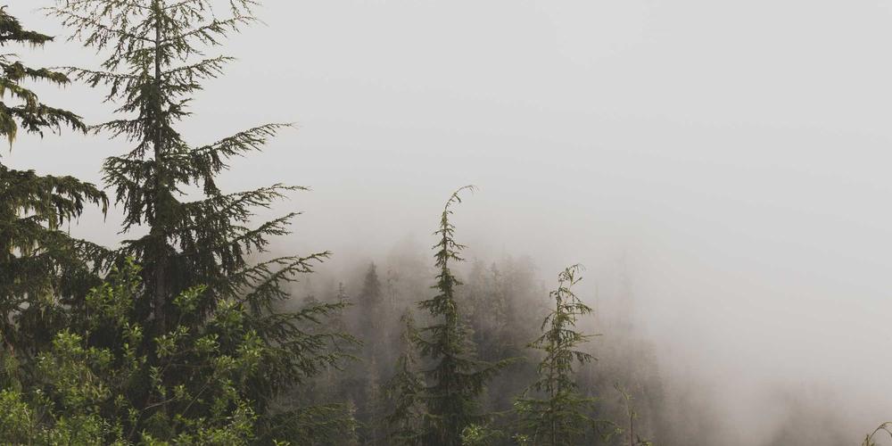 Luxury Design Aesthetics