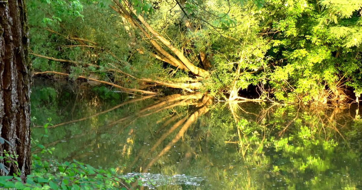 Bí quyết chụp ảnh Lookbook triệu view cho Brand: Insight từ người mẫu Lê Hoàng Yến