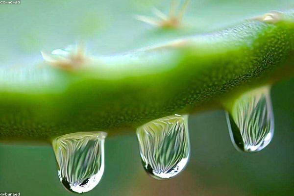 Hương vị rượu vang