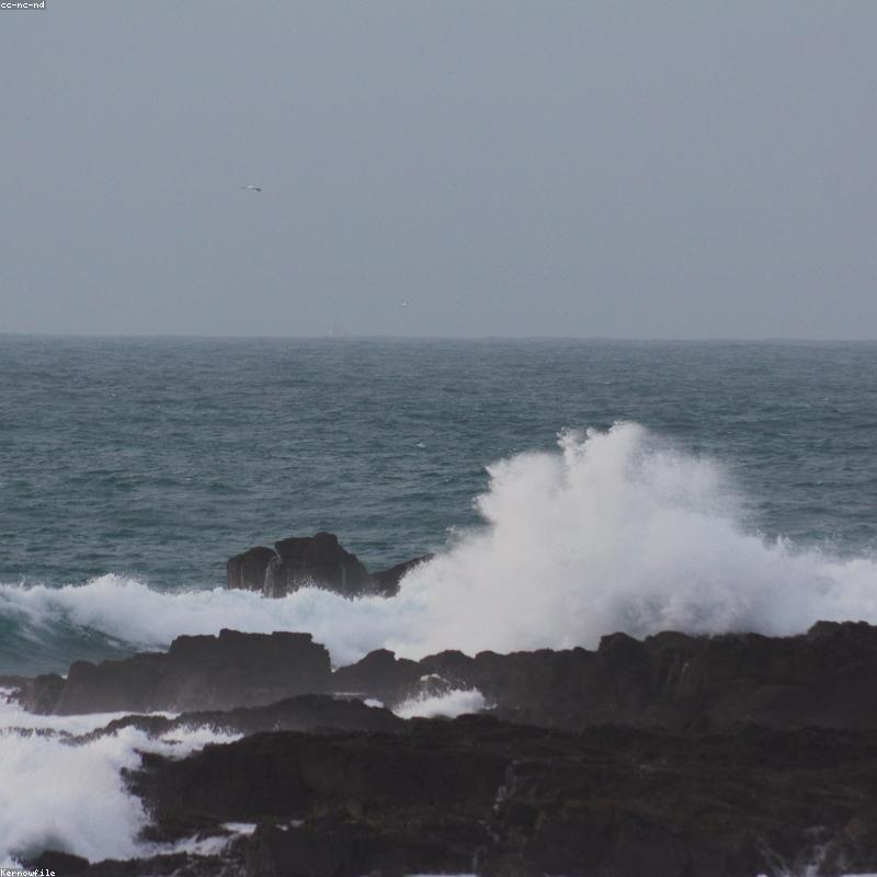 Sữa rửa mặt tạo bọt trà xanh