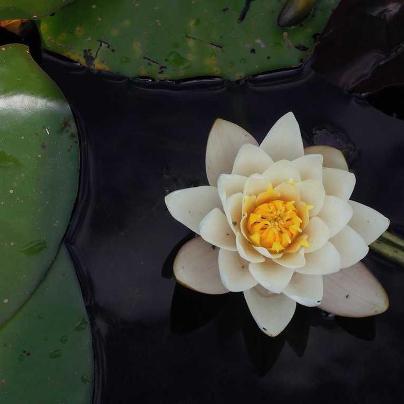 Hệ Tủ Bếp 2026 AeroTouch 2