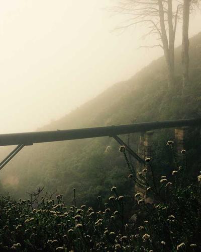 Luxury Website Layout