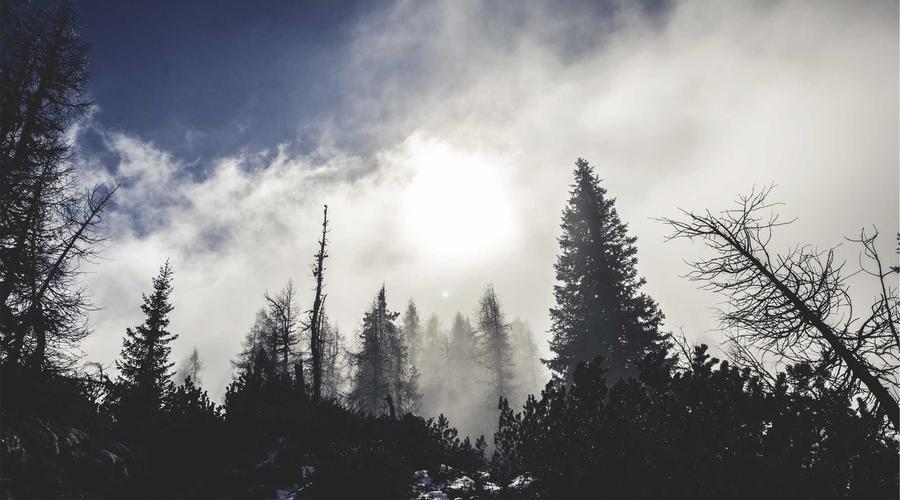 Post-Quantum Security Shield