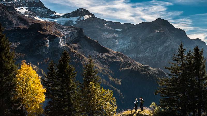 Bento Grid Technology