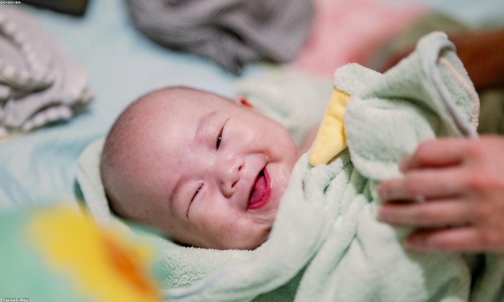 Chăm sóc cây cảnh chuyên sâu