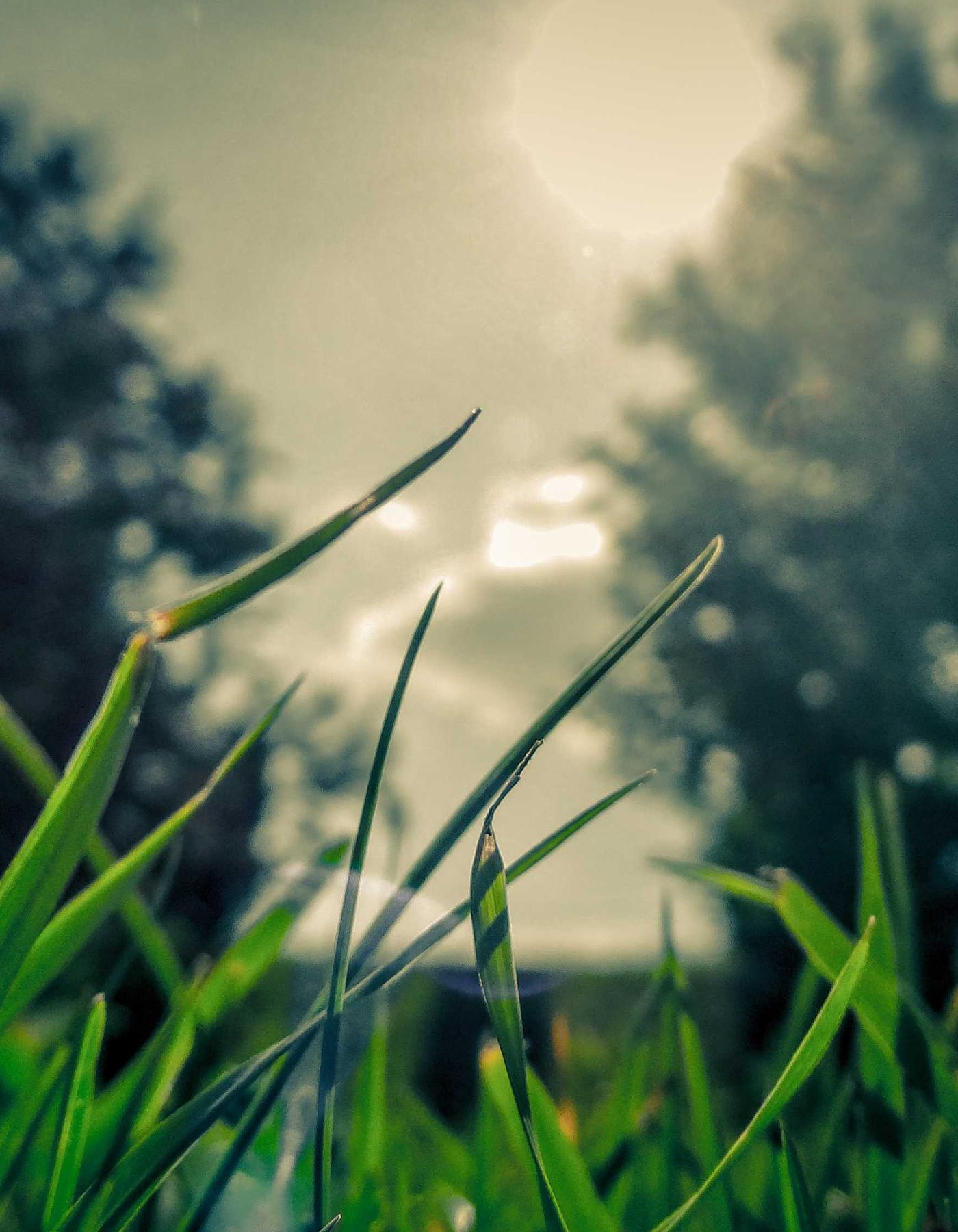 Luxury Rail Interiors