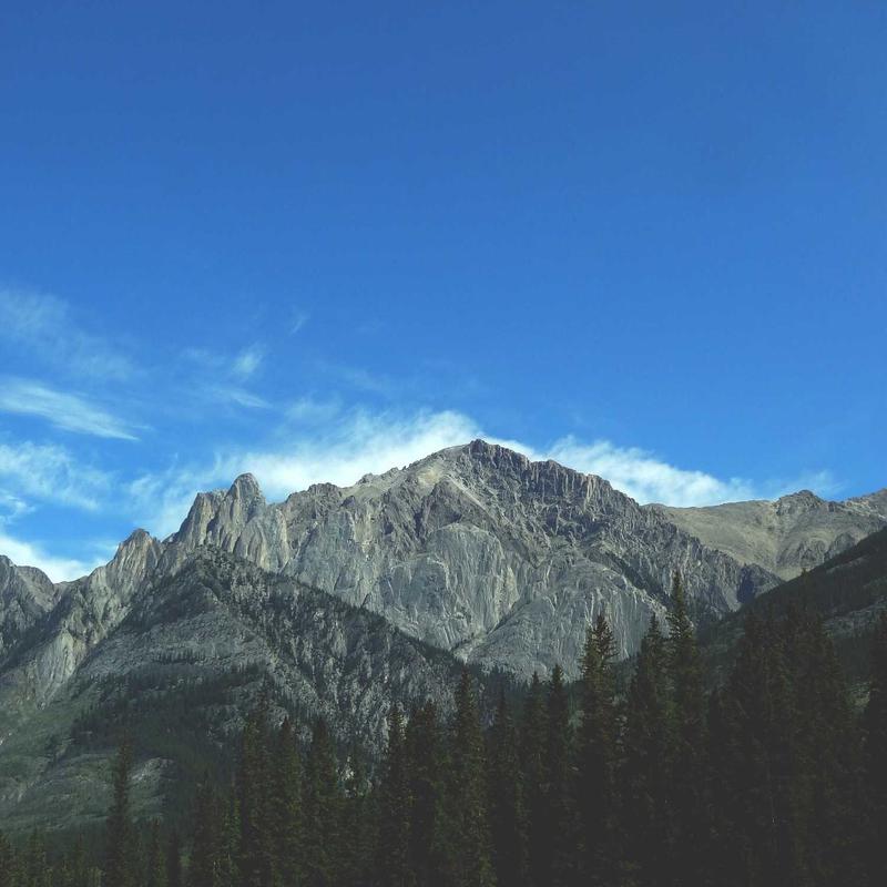 Phụ kiện 2026 Thắt lưng Kim loại Smart 4