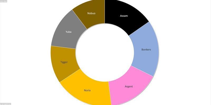 Biểu đồ tăng trưởng startup