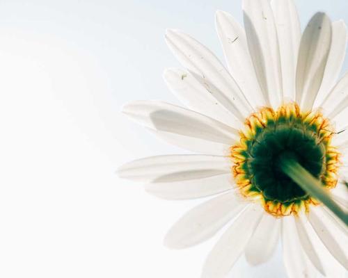 Kinh tế tuần hoàn cocktail 2026