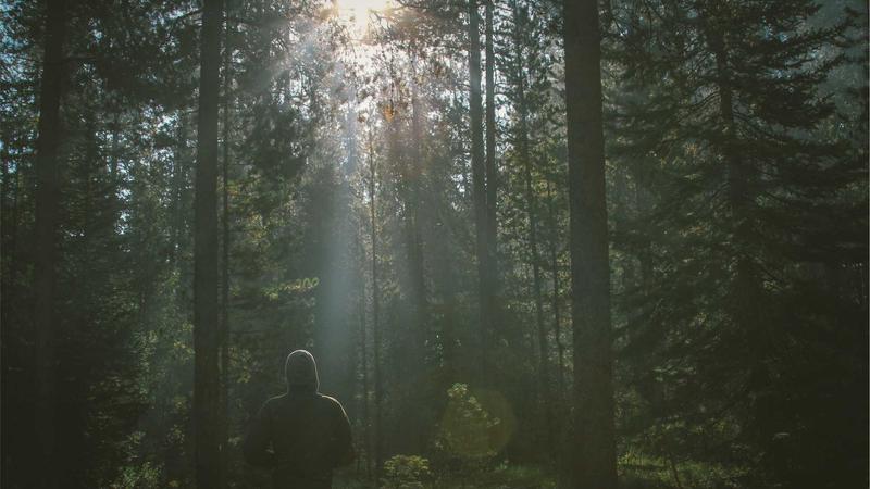 Data center GPU infrastructure