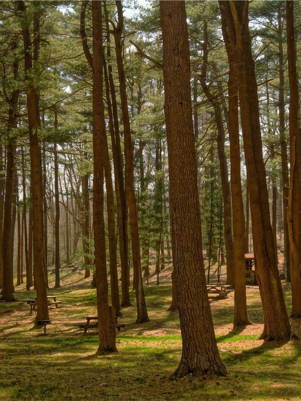 Luxury Website Design