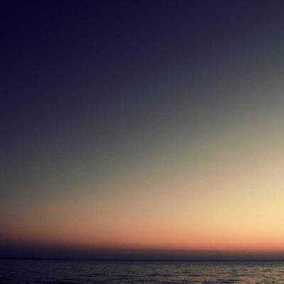 Đèn Hồ Điệp Art 2026