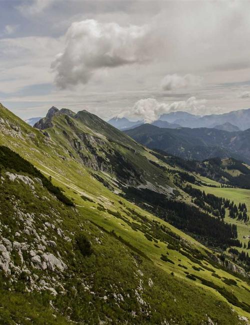 Managing Director Portrait