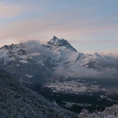 Sản phẩm decor 2026