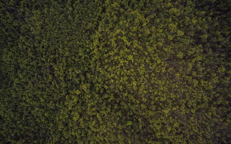 Ứng dụng AI doanh nghiệp