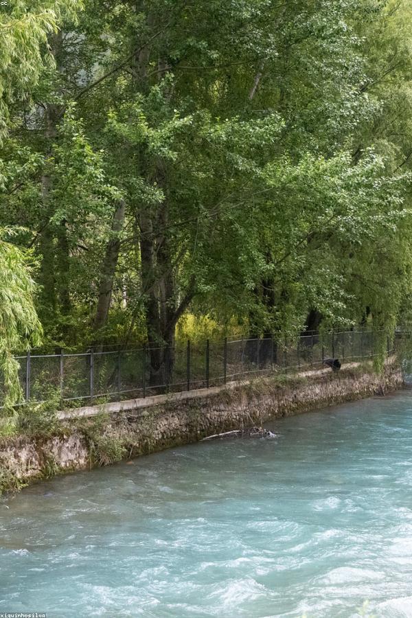 Botanist tại Green Valley Farm